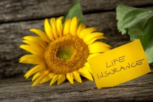 note next to a dandelion full of life that shows the concept of life insurance