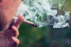 A man smoking a joint filled with medicinal marijuana