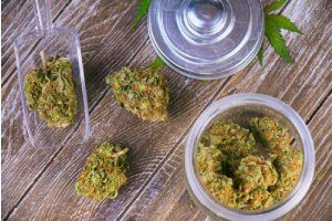 Cannabis buds in a glass jar at a marijuana dispensary