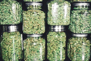 jars of weed that are what you need to open a cannabis dispensary