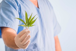 person holding marijuana leaf that you need to open a cannabis dispensary