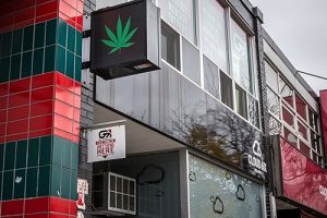 a dispensary as a result of the rise of the cannabis industry in 2019