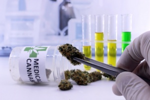 Medical Cannabis protected with cannabis insurance