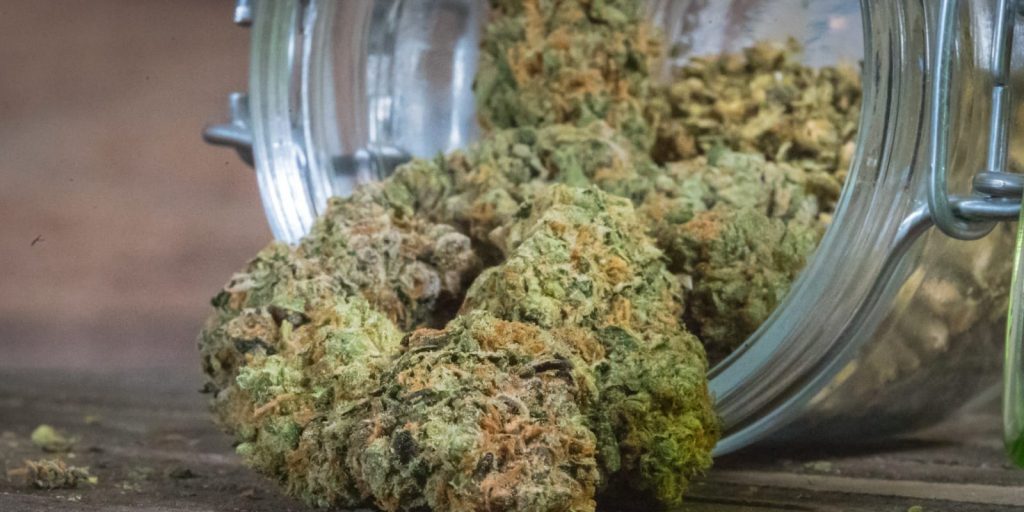 Jar of cannabis in michigan dispensary