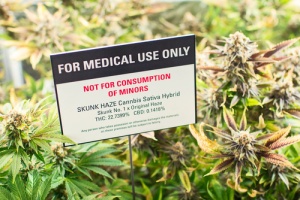 Marijuana dispensary in illinois part of cannabusiness