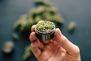 cannabis that was delivered to an individual by a dispensary