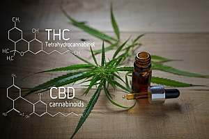 medicinal use of CBD and THC