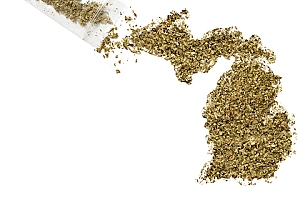 Marijuana shaped into Michigan that has Liability Insurance