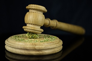 global cannabis legalization