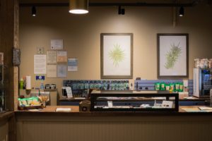 cannabis dispensary business