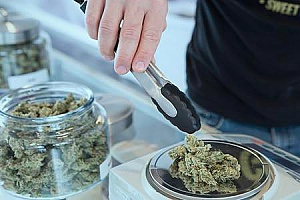 a marijuana dispensary serving Indiana clients