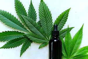 cannabis leaves with oil dropper covered by cannabis insurance