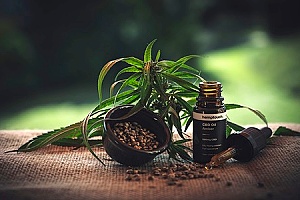 cannabis products that are being legalized