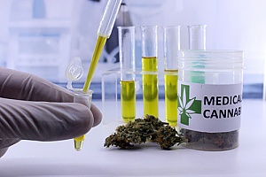 medical cannabis in a Michigan laboratory