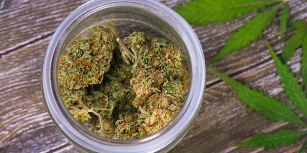 Cannabis in jar on table