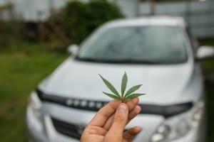 cannabis leaf in front of a automobile used for transportation that is protected with Colorado cannabis insurance