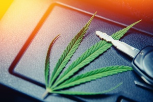 cannabis leave sitting next to keys to a automobile covered with Illinois Cannabis Insurance