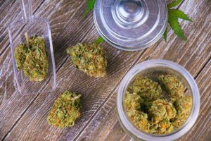 dispensary must prepare in case any part of their cannabis distribution comes to a halt