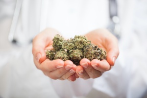 medical marijuana being held in two hands by man in lab coat who has Oregon Cannabis Insurance