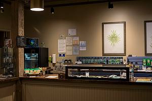 Inside of dispensary 