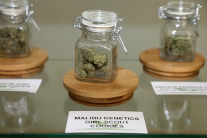 jar in a cannabis dispensary&rsquo;s 