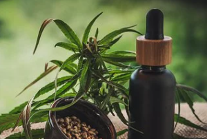 Cannabis in Bottle with Seeds
