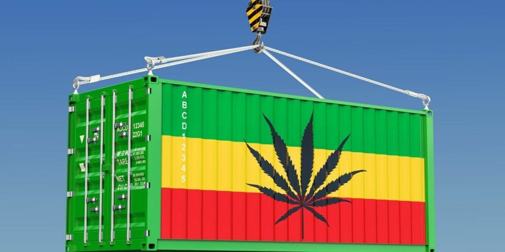 cannabis transportation in big container