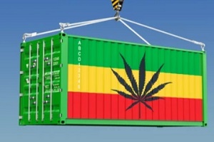 container containing cannabis