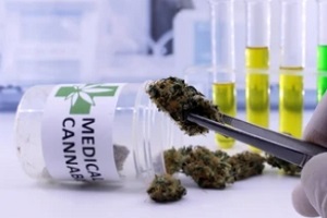 medical cannabis sample in container