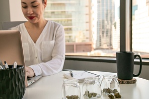 women who owns a cannabis business working in her office