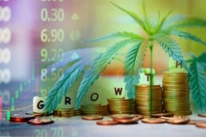 cannabis business growth concept