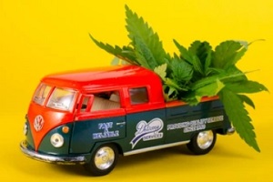 cannabis delivery on vehicle concept