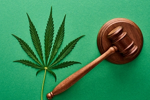 green cannabis leaf with a wooden gavel on the background