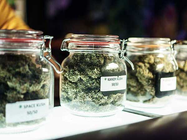 Cannabis jars on shelf