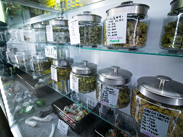jars of cannabis displayed on backstock shelves