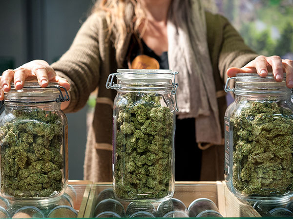 white women holding three cannabis jars