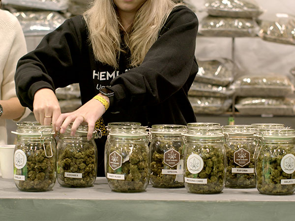 white women packaging cannabis products in jars