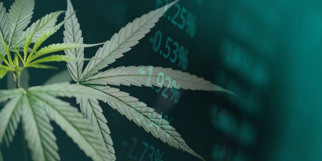 cannabis business with marijuana leaves and stock graph charts on stock market exchange trading analysis investment