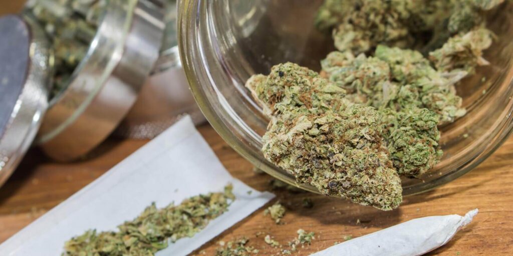 rolling joints with trimmed cannabis grown in California
