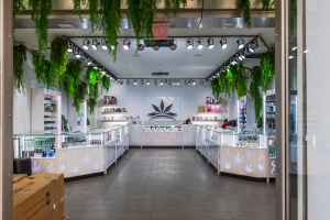 Inside View of A Modern Cannabis Dispensary
